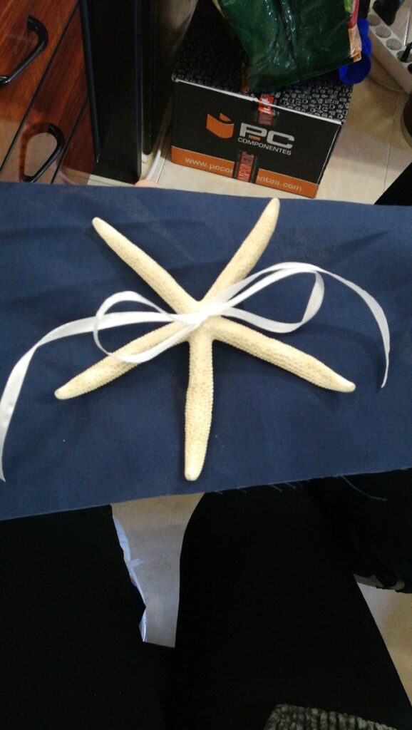 cojin para anillos boda marinera estrella de mar